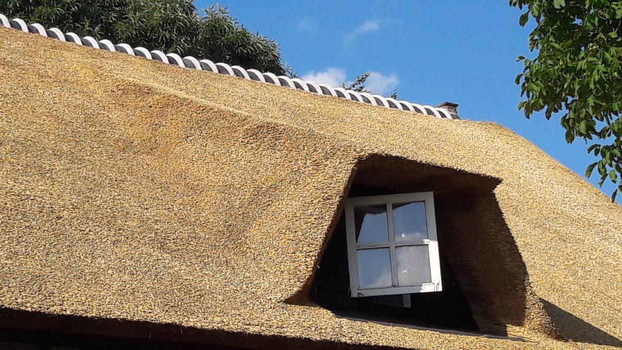 Farmer'S Suite Prinsenbeek Exterior foto